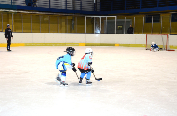 PŘÍPRAVKA - 2.3.2019 - PŘÁTELSKÉ UTKÁNÍ - BLANSKO 