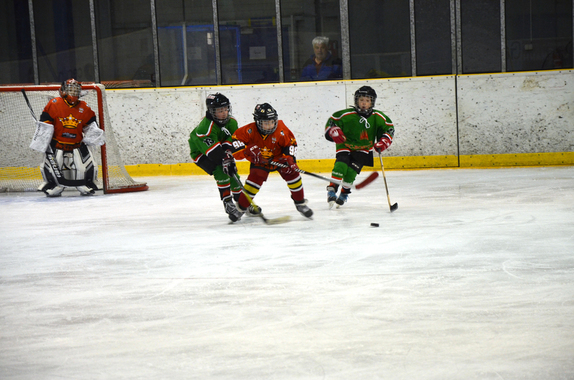 4. TŘÍDA - HC BOSKOVICE x RUŽINOV 24