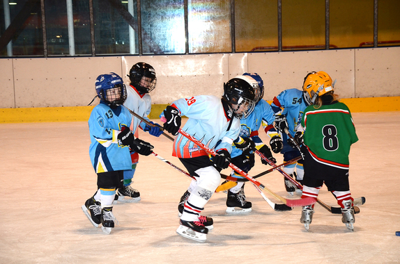 PŘÍPRAVKA (16. 3. 2019) - PŘÁTELSKÉ UTKÁNÍ - BLANS