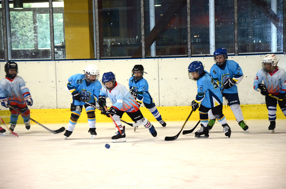 PŘÍPRAVKA (16. 3. 2019) - PŘÁTELSKÉ UTKÁNÍ - BLANS