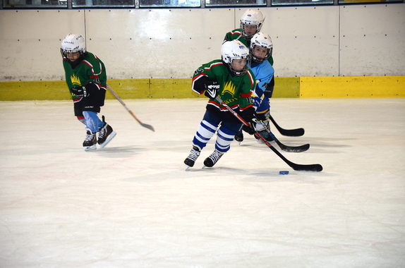 PŘÍPRAVKA (16. 3. 2019) - PŘÁTELSKÉ UTKÁNÍ - BLANS