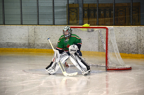 4. TŘÍDA (17. 3. 2019) - HC BOSKOVICE x KOMETA 49