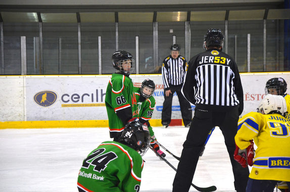 4. TŘÍDA (24. 3. 2019) - HC BOSKOVICE x BŘECLAV 22