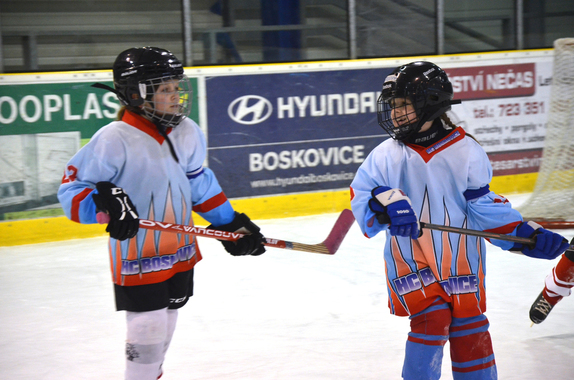 PŘÍPRAVKA (29. 3. 2019) - ZÁVĚREČNÉ PŘÁTELSKÉ UTKÁ