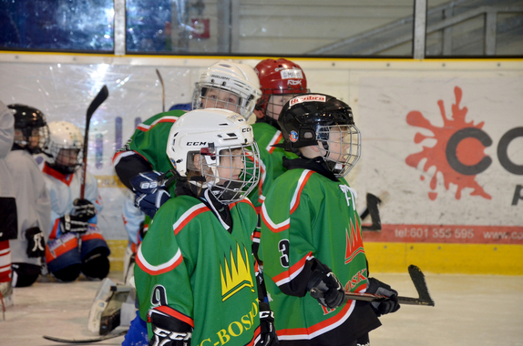 PŘÍPRAVKA (29. 3. 2019) - ZÁVĚREČNÉ PŘÁTELSKÉ UTKÁ