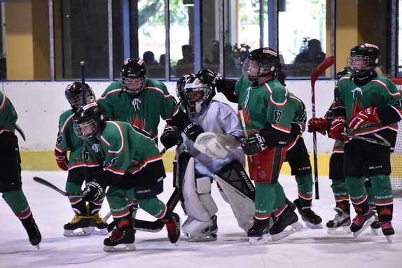 5. TŘÍDA (21. 9. 2019) - HC BOSKOVICE x BLANSKO x 