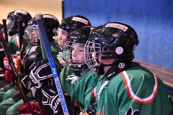 5. TŘÍDA (21. 9. 2019) - HC BOSKOVICE x BLANSKO x 