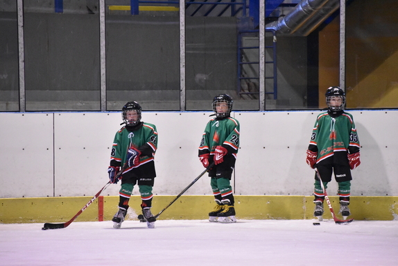 5. TŘÍDA (21. 9. 2019) - HC BOSKOVICE x BLANSKO x 