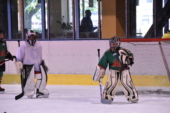 5. TŘÍDA (21. 9. 2019) - HC BOSKOVICE x BLANSKO x 