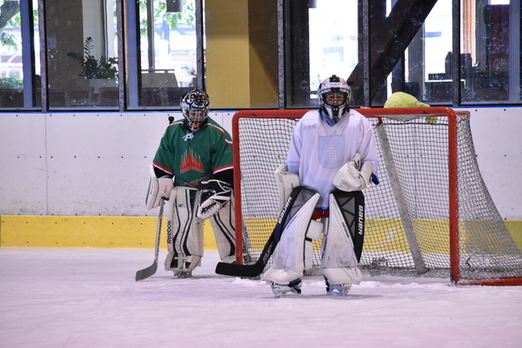 5. TŘÍDA (21. 9. 2019) - HC BOSKOVICE x BLANSKO x 