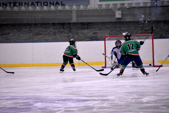 5. TŘÍDA (6. 10. 2019) - HC Boskovice x Warriors B