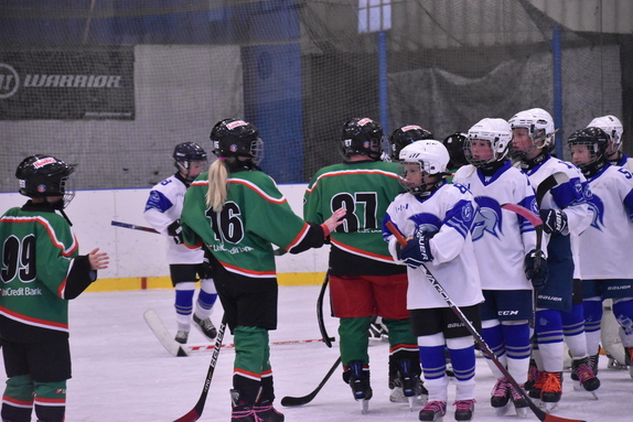 5. TŘÍDA (6. 10. 2019) - HC Boskovice x Warriors B