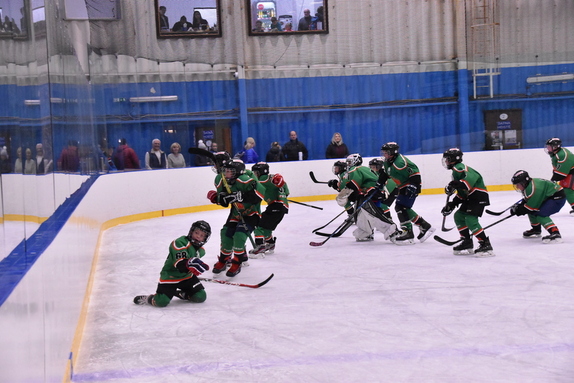 5. TŘÍDA (6. 10. 2019) - HC Boskovice x Warriors B