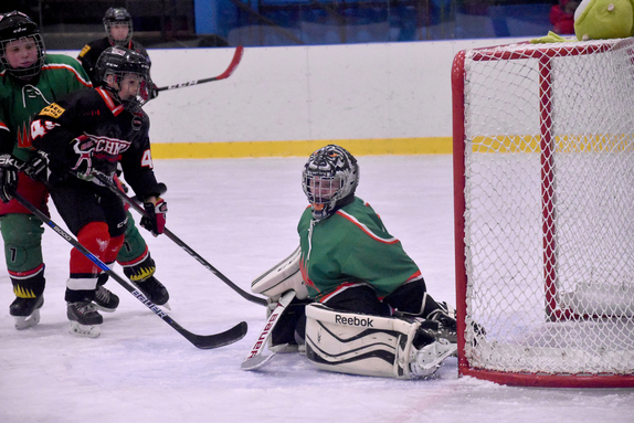 5. TŘÍDA (10.11.2019) -HC BoskovicexWarriors xTech