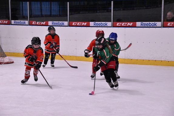 Rosice 2.řtída vs. Znojmo a Vyškov 12