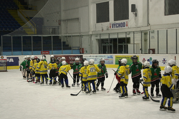 Přípravka HC Boskovice - HC Lvi Břeclav 1