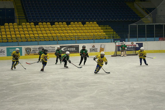 Přípravka HC Boskovice - HC Lvi Břeclav 6