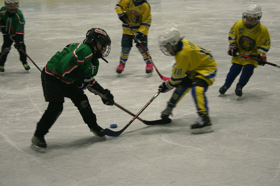 Přípravka HC Boskovice - HC Lvi Břeclav 8