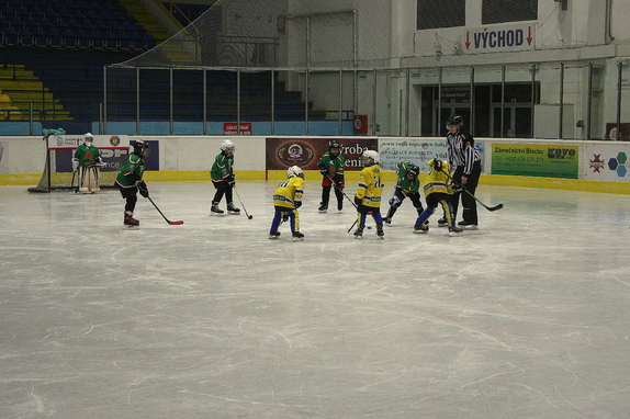 Přípravka HC Boskovice - HC Lvi Břeclav 10