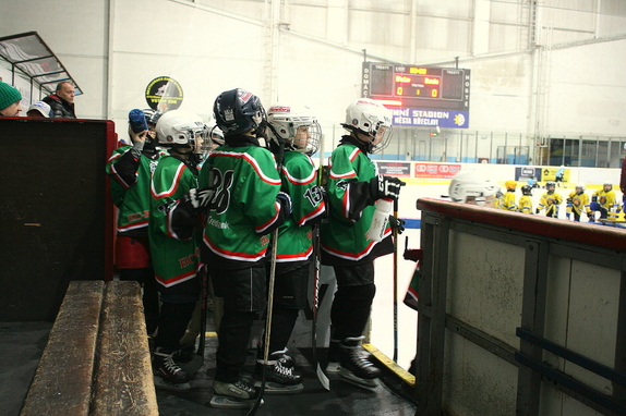 Přípravka HC Boskovice - HC Lvi Břeclav 11