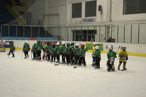 Přípravka HC Boskovice - HC Lvi Břeclav 12