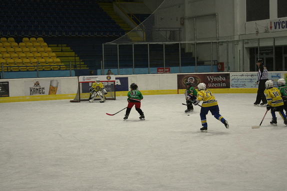 Přípravka HC Boskovice - HC Lvi Břeclav 19