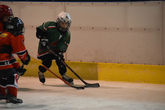 Přípravka HC Boskovice - HC Orli Znojmo x VSK Tech