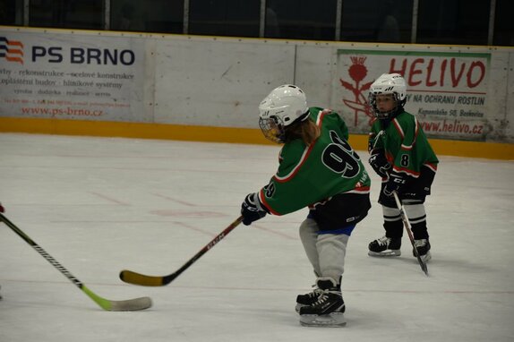 Příměstský hokejový tábor 2020 4
