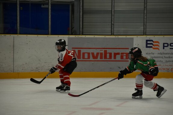Příměstský hokejový tábor 2020 11