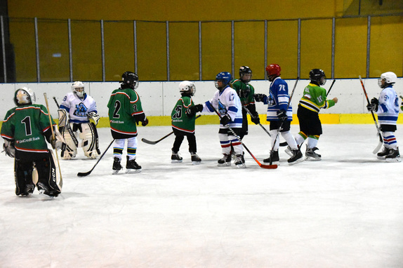 2. a 4. třídy ZUBR Blansko - HC Boskovice 1