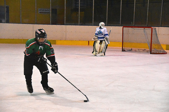 2. a 4. třídy ZUBR Blansko - HC Boskovice 2