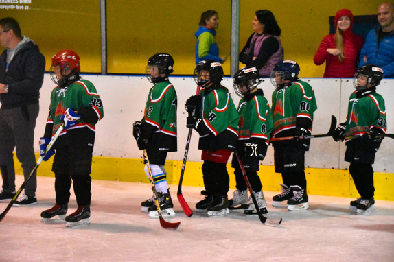 2. a 4. třídy ZUBR Blansko - HC Boskovice 6