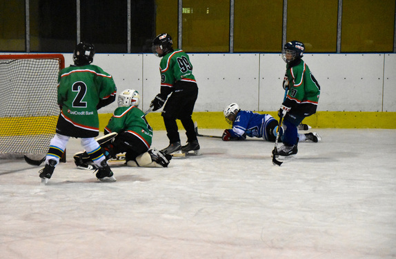 2. a 4. třídy ZUBR Blansko - HC Boskovice 8