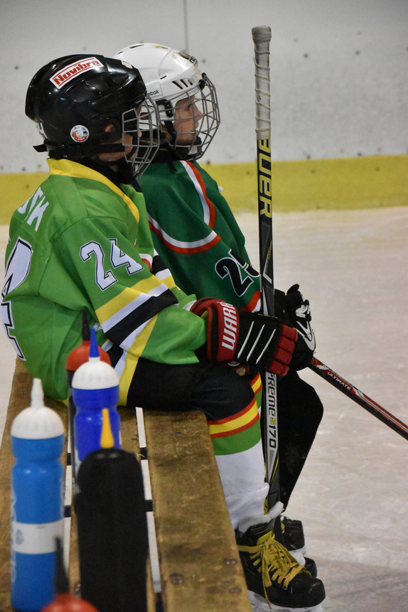 2. a 4. třídy ZUBR Blansko - HC Boskovice 9