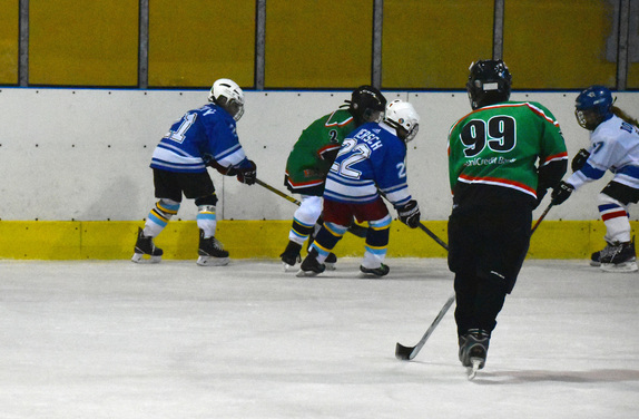 2. a 4. třídy ZUBR Blansko - HC Boskovice 11