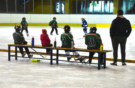 2. a 4. třídy ZUBR Blansko - HC Boskovice 39