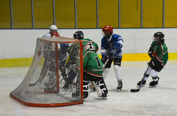 2. a 4. třídy ZUBR Blansko - HC Boskovice 40