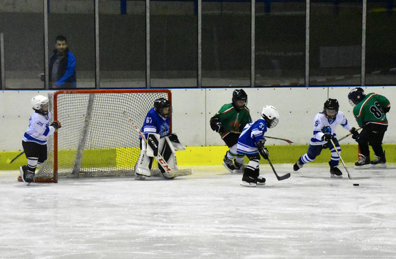 2. a 4. třídy ZUBR Blansko - HC Boskovice 43