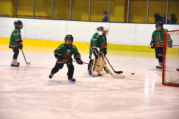 2. a 4. třídy ZUBR Blansko - HC Boskovice 44