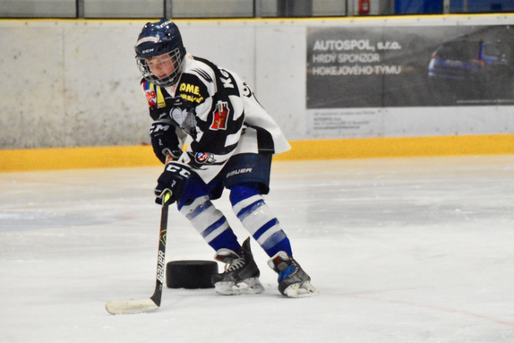 Příměstský hokejový tábor 2021 (souhrn) 8
