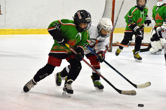 5. třídy Technika Brno - HC Boskovice 1