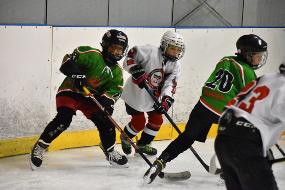 5. třídy Technika Brno - HC Boskovice 2