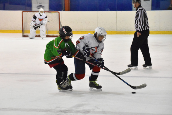 5. třídy Technika Brno - HC Boskovice 8