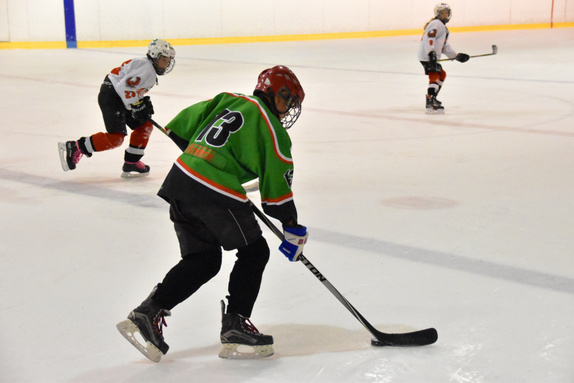 5. třídy Technika Brno - HC Boskovice 11