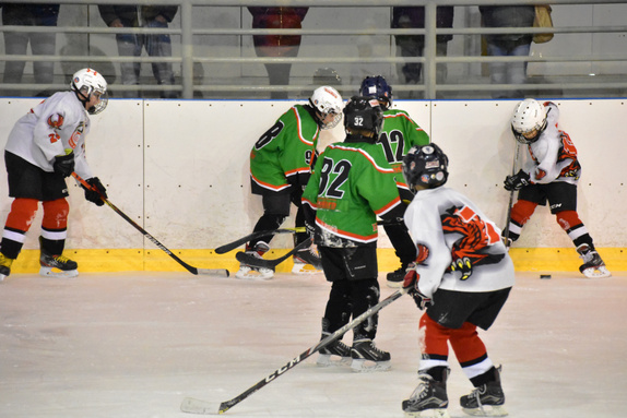 5. třídy Technika Brno - HC Boskovice 22