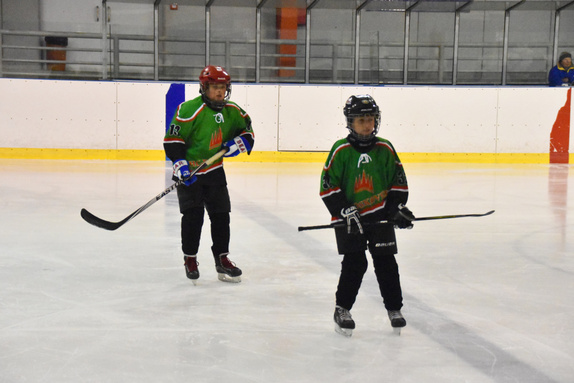 5. třídy Technika Brno - HC Boskovice 29