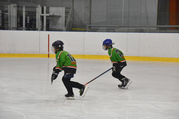 5. třídy Technika Brno - HC Boskovice 30