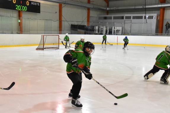 5. třídy Technika Brno - HC Boskovice 31